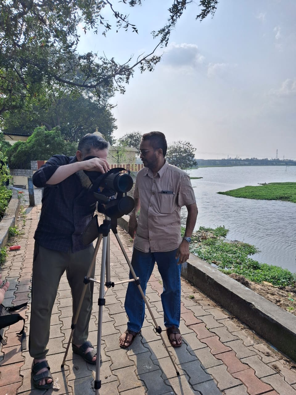 Bird Watching in Korattur Lake - 2